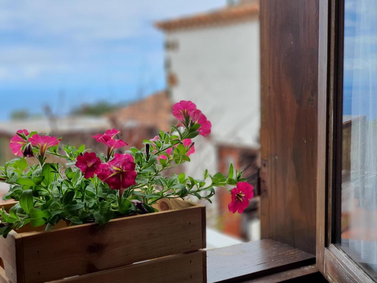 Vina Camello Villa Buenavista Del Norte Eksteriør billede